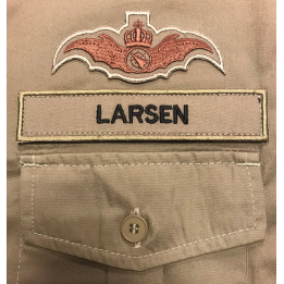 Luftforsvarskontrol (ADC) Emblem, Brun/khaki
