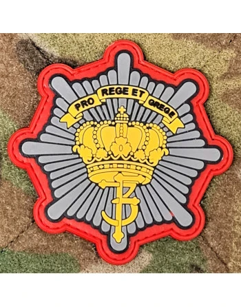 Jydske Dragonregiment, skjold på velcro