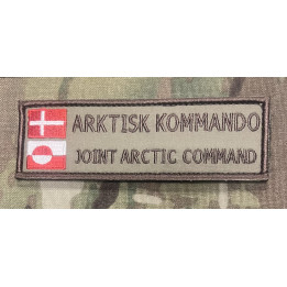 JOINT ARCTIC COMMAND with Flags