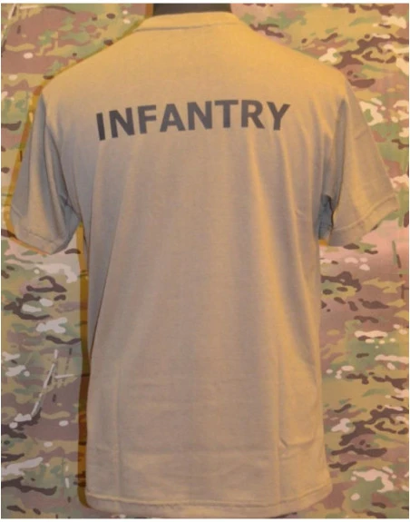 RAVEN - T-shirt, MTS-khaki - with INFANERY print